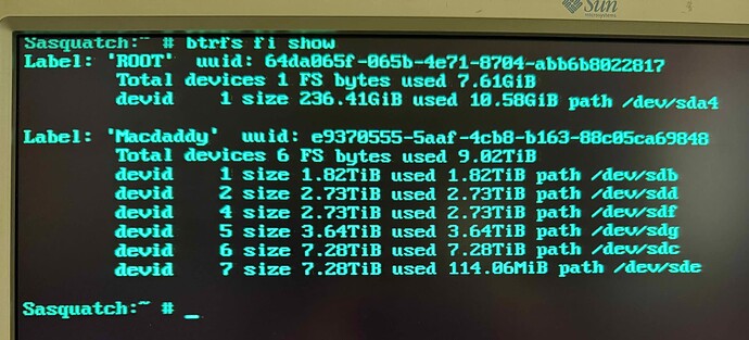 btrfs_fi_show